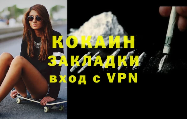 индика Сосновка