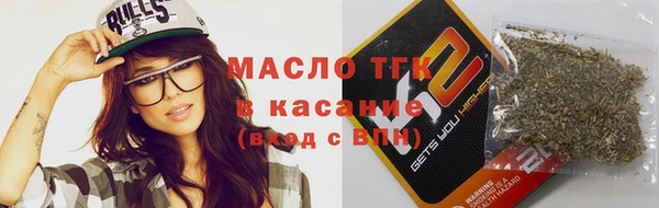 индика Сосновка