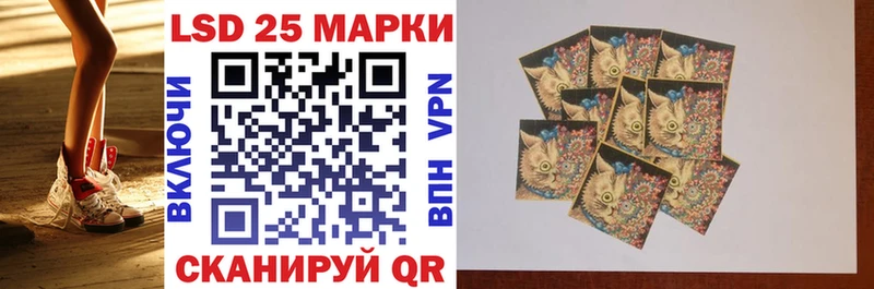 наркота  Камешково  Марки N-bome 1500мкг 