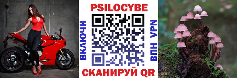 Галлюциногенные грибы MAGIC MUSHROOMS  ОМГ ОМГ вход  Камешково 